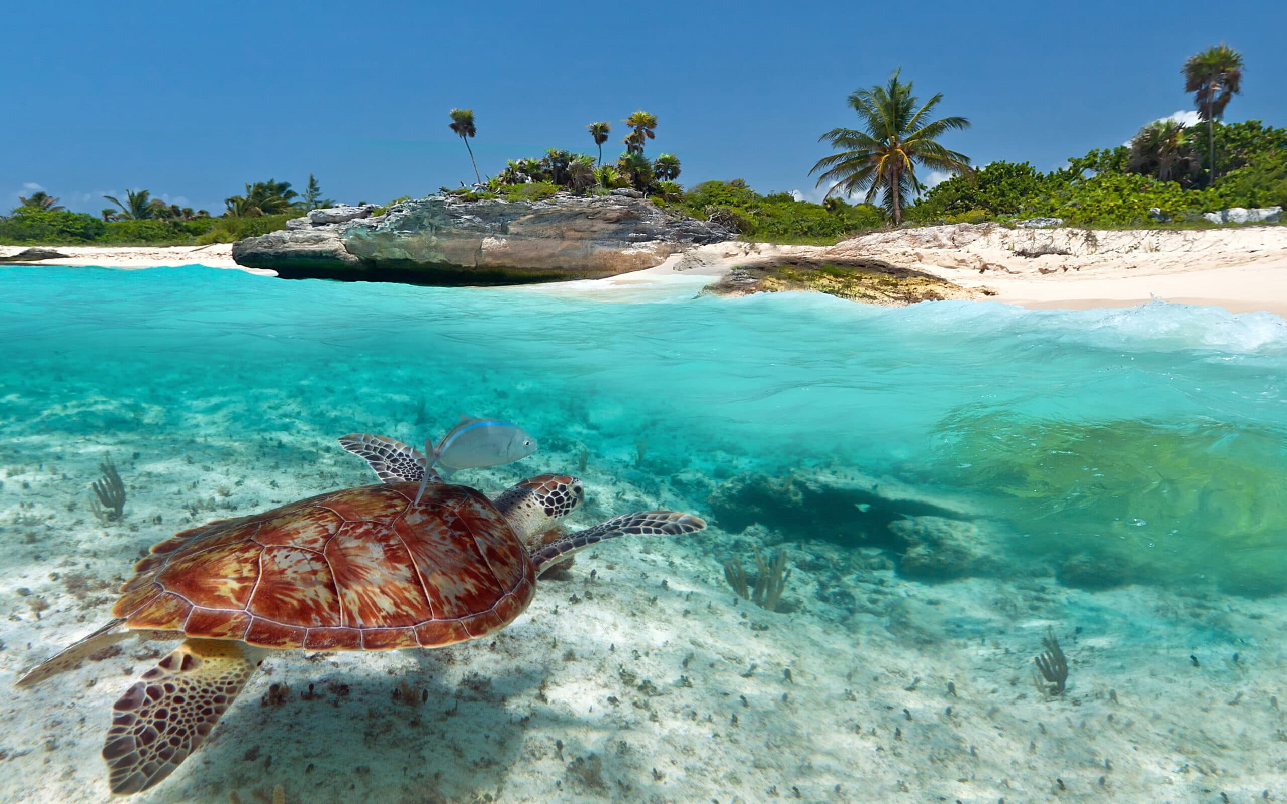 Cancún